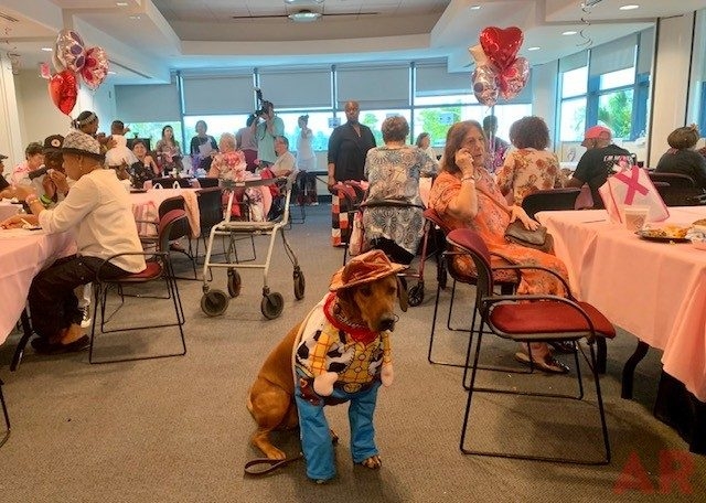 Oncology - Spa Day by Mount Sinai Hospital | Ale Ramos Therapy Animals