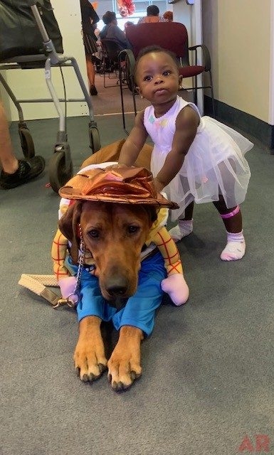 Oncology - Spa Day by Mount Sinai Hospital | Ale Ramos Therapy Animals