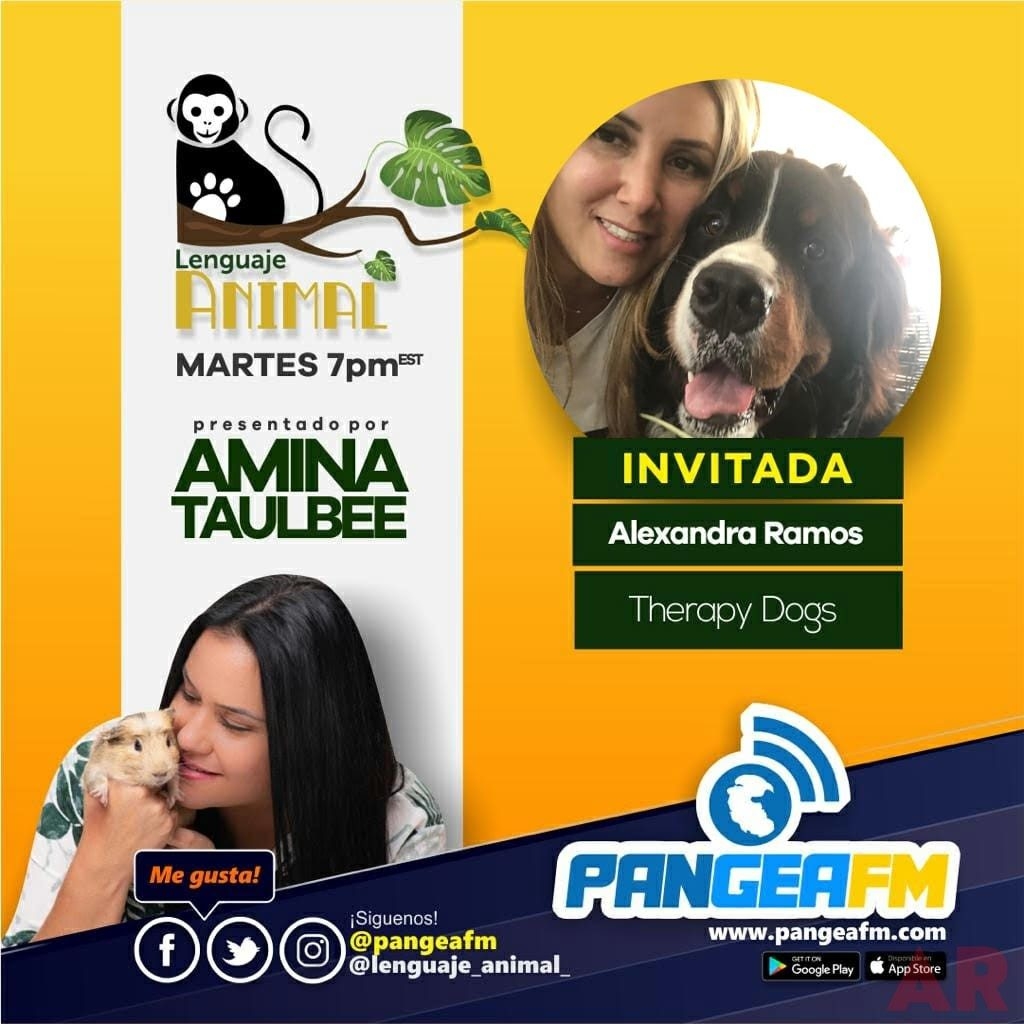 Pangea Digital Radio Interview | Ale Ramos Therapy Animals
