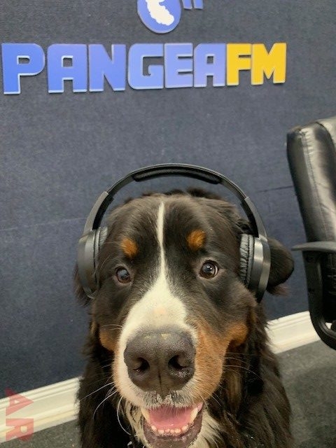 Pangea Digital Radio Interview | Ale Ramos Therapy Animals