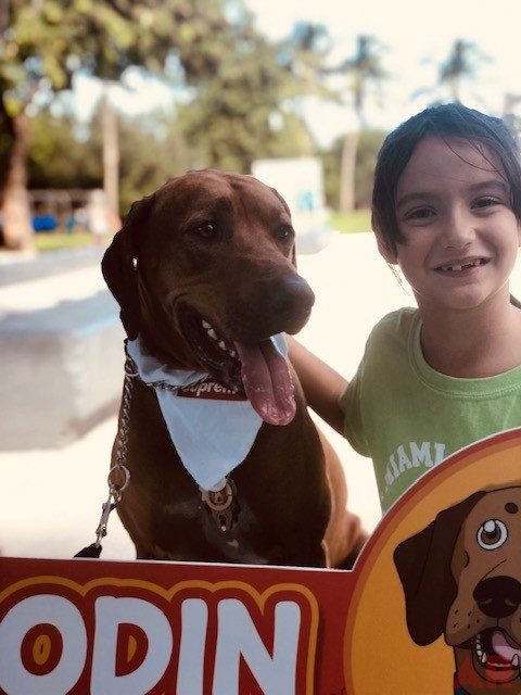 Purr-Fect Paw-Looza | Ale Ramos Therapy Animals