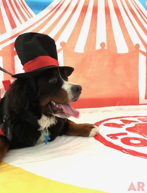 Radio Lollipop Birthday Party at Nicklaus Children’s Hospital | Ale Ramos Therapy Animals