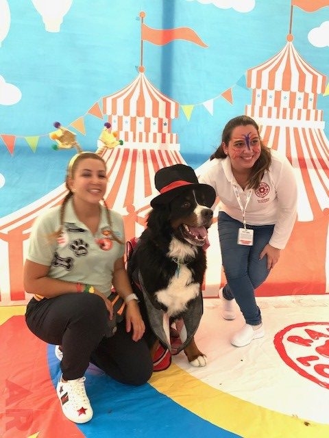 Radio Lollipop Birthday Party at Nicklaus Children’s Hospital | Ale Ramos Therapy Animals