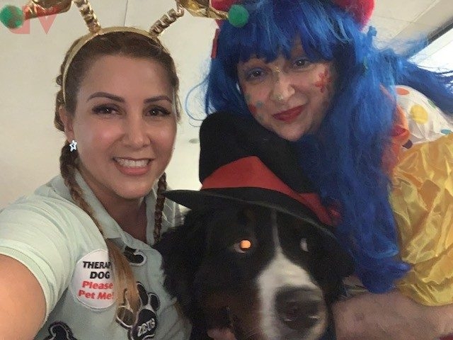 Radio Lollipop Birthday Party at Nicklaus Children’s Hospital | Ale Ramos Therapy Animals