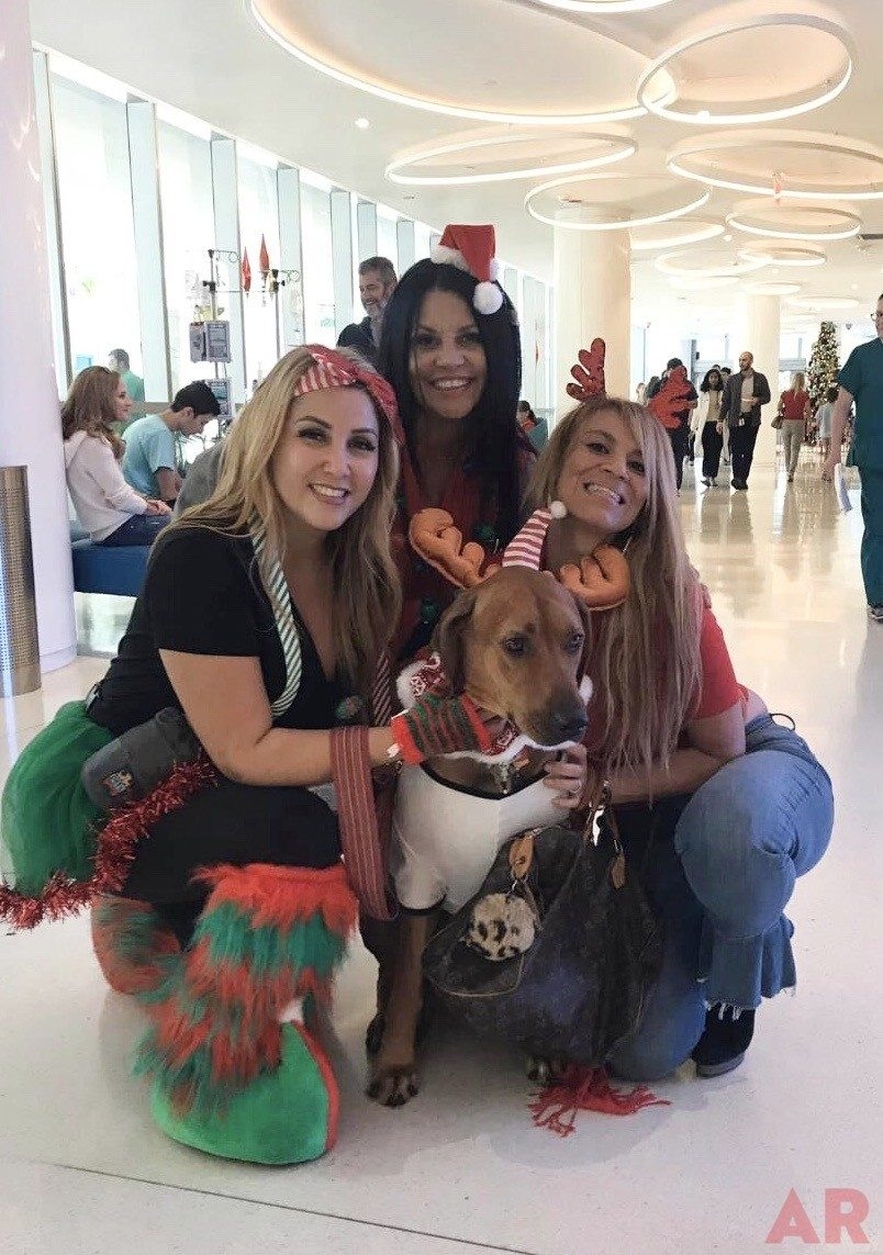Santa Paws | Ale Ramos Therapy Animals