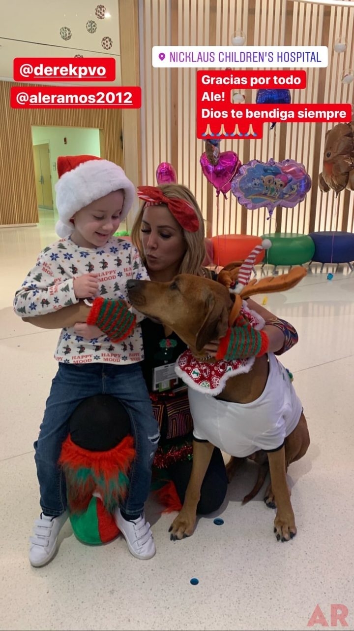 Santa Paws | Ale Ramos Therapy Animals