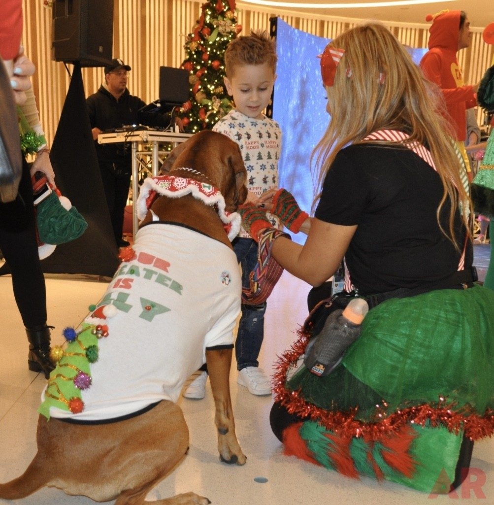 Santa Paws | Ale Ramos Therapy Animals