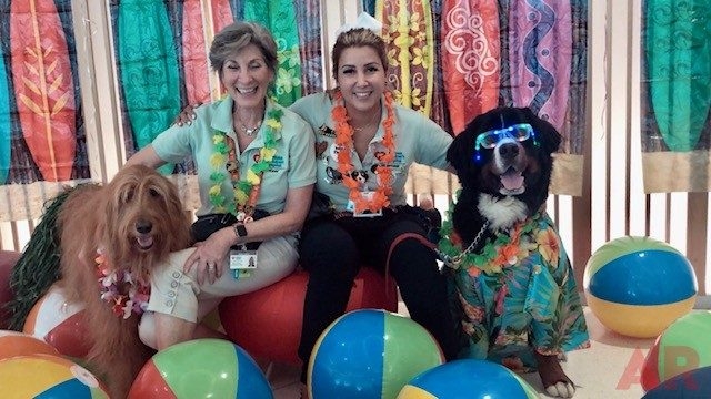 Summer Bash at Nicklaus Children’s Hospital | Ale Ramos Therapy Animals