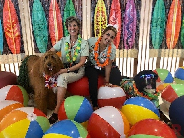Summer Bash at Nicklaus Children’s Hospital | Ale Ramos Therapy Animals
