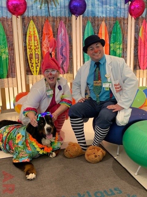 Summer Bash at Nicklaus Children’s Hospital | Ale Ramos Therapy Animals