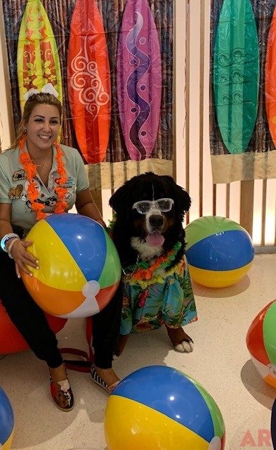 Summer Bash at Nicklaus Children’s Hospital | Ale Ramos Therapy Animals