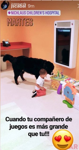Tennis Players visit Nicklaus Children’s Hospital with Apollo | Ale Ramos Therapy Animals