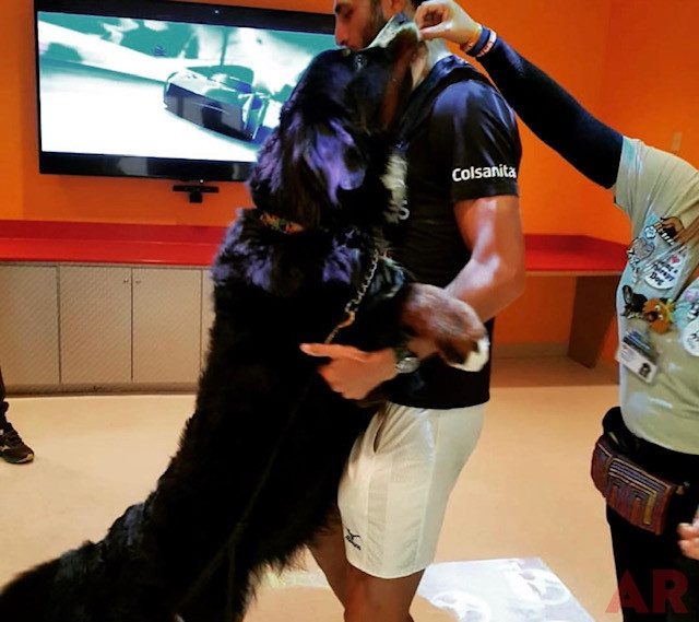 Tennis Players visit Nicklaus Children’s Hospital with Apollo | Ale Ramos Therapy Animals