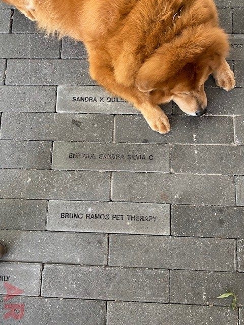 Tribute Bricks Celebration | Ale Ramos Therapy Animals