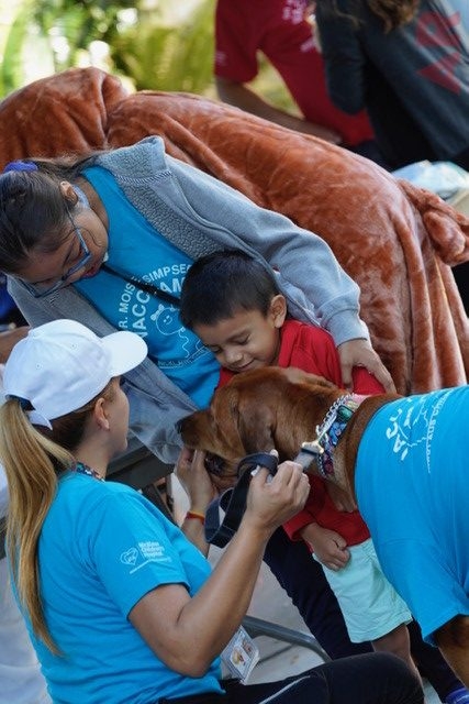 VACC Camp by Nicklaus Children’s Hospital | Ale Ramos Therapy Animals