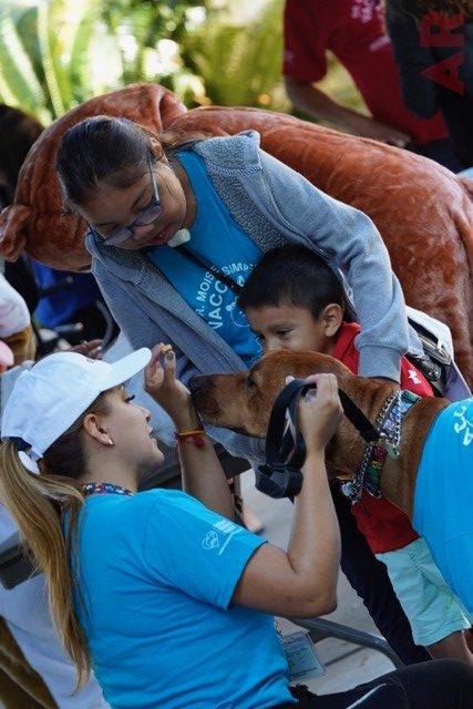 VACC Camp by Nicklaus Children’s Hospital | Ale Ramos Therapy Animals