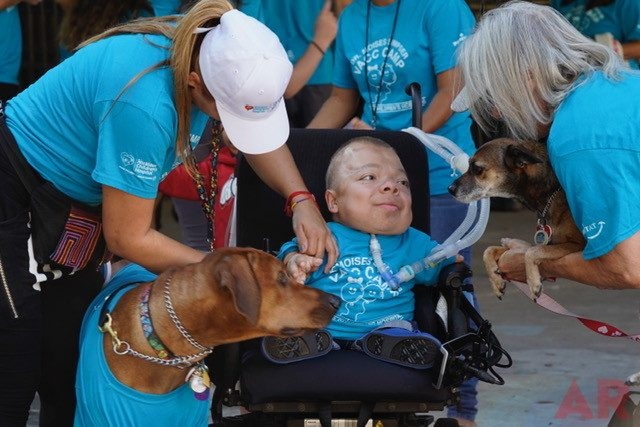 VACC Camp by Nicklaus Children’s Hospital | Ale Ramos Therapy Animals