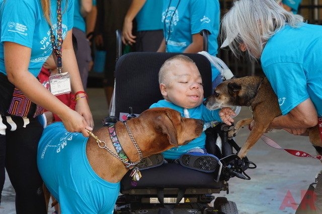 VACC Camp by Nicklaus Children’s Hospital | Ale Ramos Therapy Animals