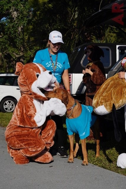 VACC Camp by Nicklaus Children’s Hospital | Ale Ramos Therapy Animals