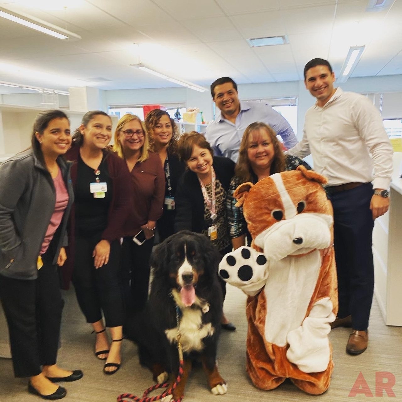 Wellness Christmas Surprise for Employees by Nicklaus Children’s Hospital | Ale Ramos Therapy Animals
