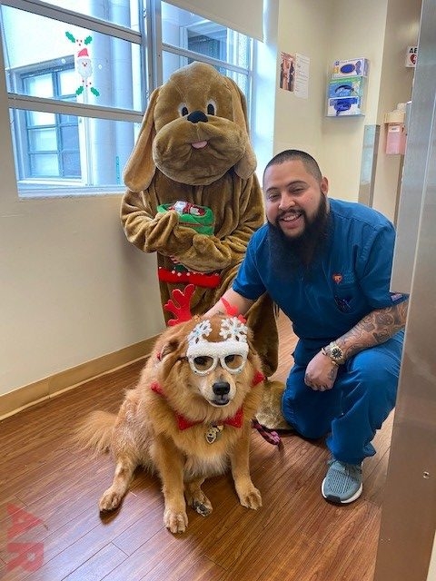 Wellness Christmas Surprise for Employees by Nicklaus Children’s Hospital | Ale Ramos Therapy Animals
