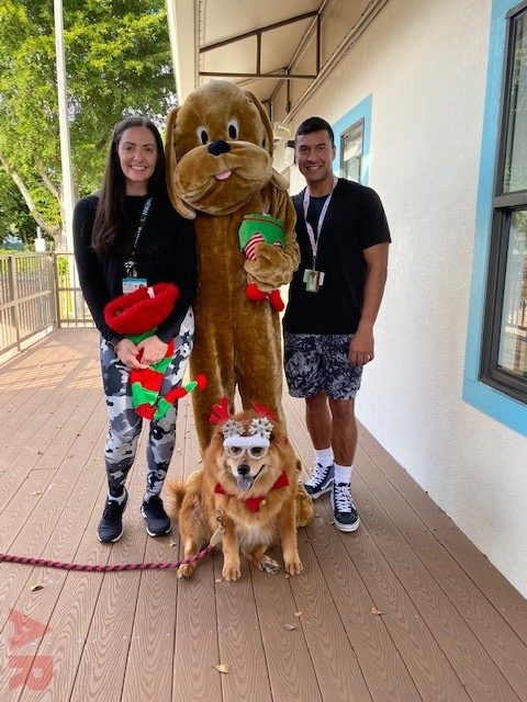 Wellness Christmas Surprise for Employees by Nicklaus Children’s Hospital | Ale Ramos Therapy Animals