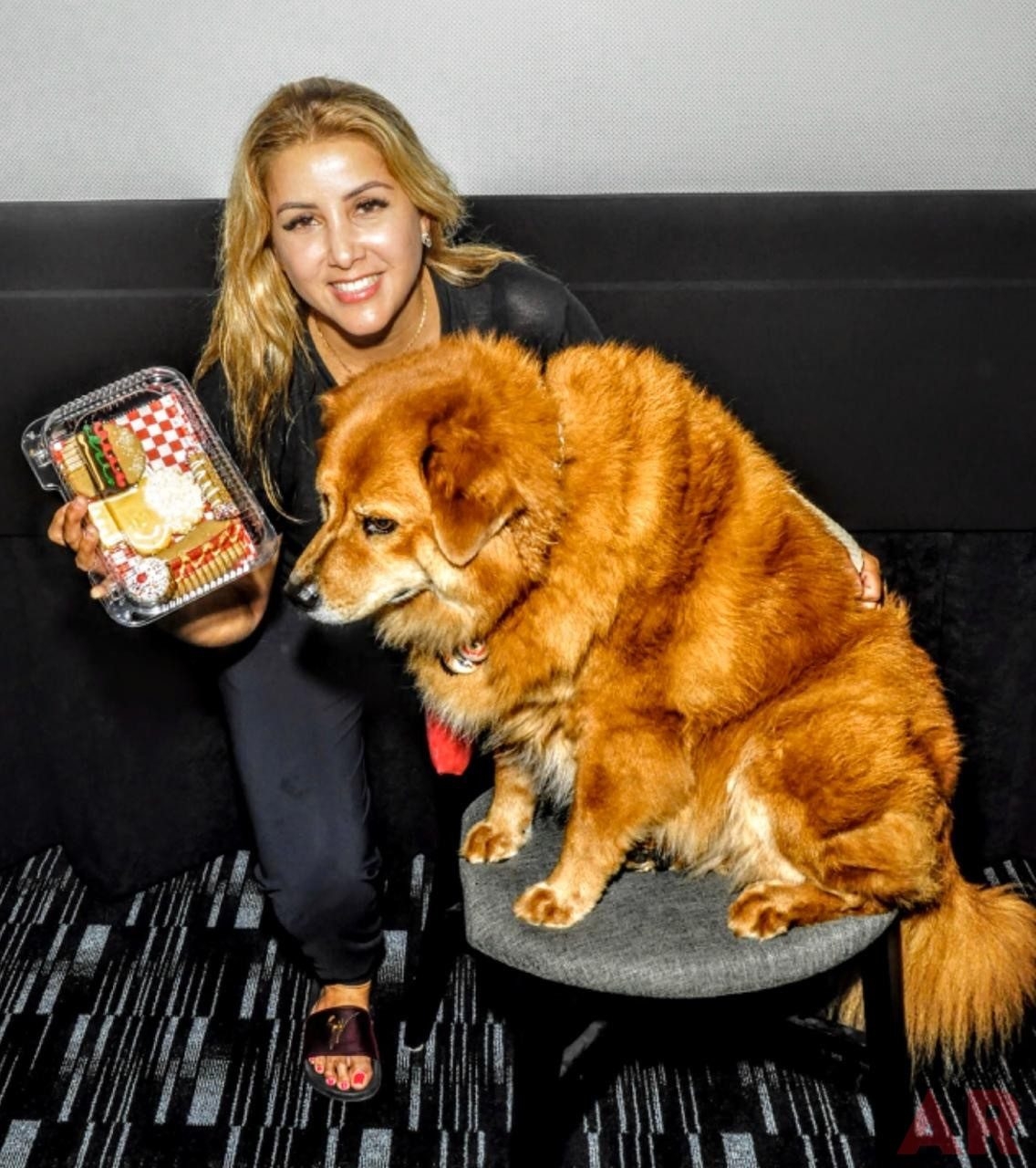 Zeus Love | Ale Ramos Therapy Animals