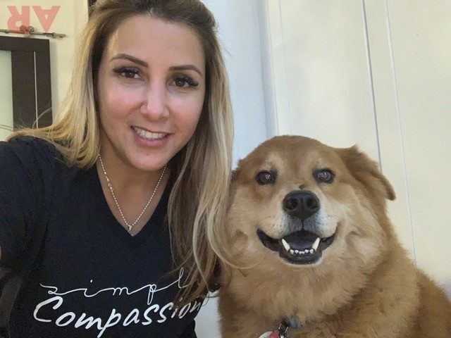 Zeus Love | Ale Ramos Therapy Animals
