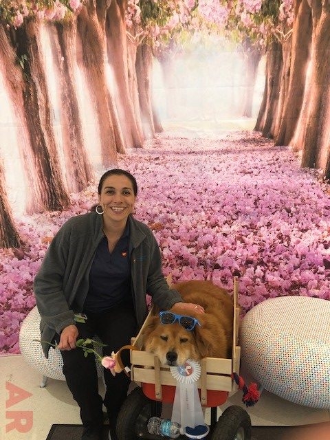 Zeus Love | Ale Ramos Therapy Animals
