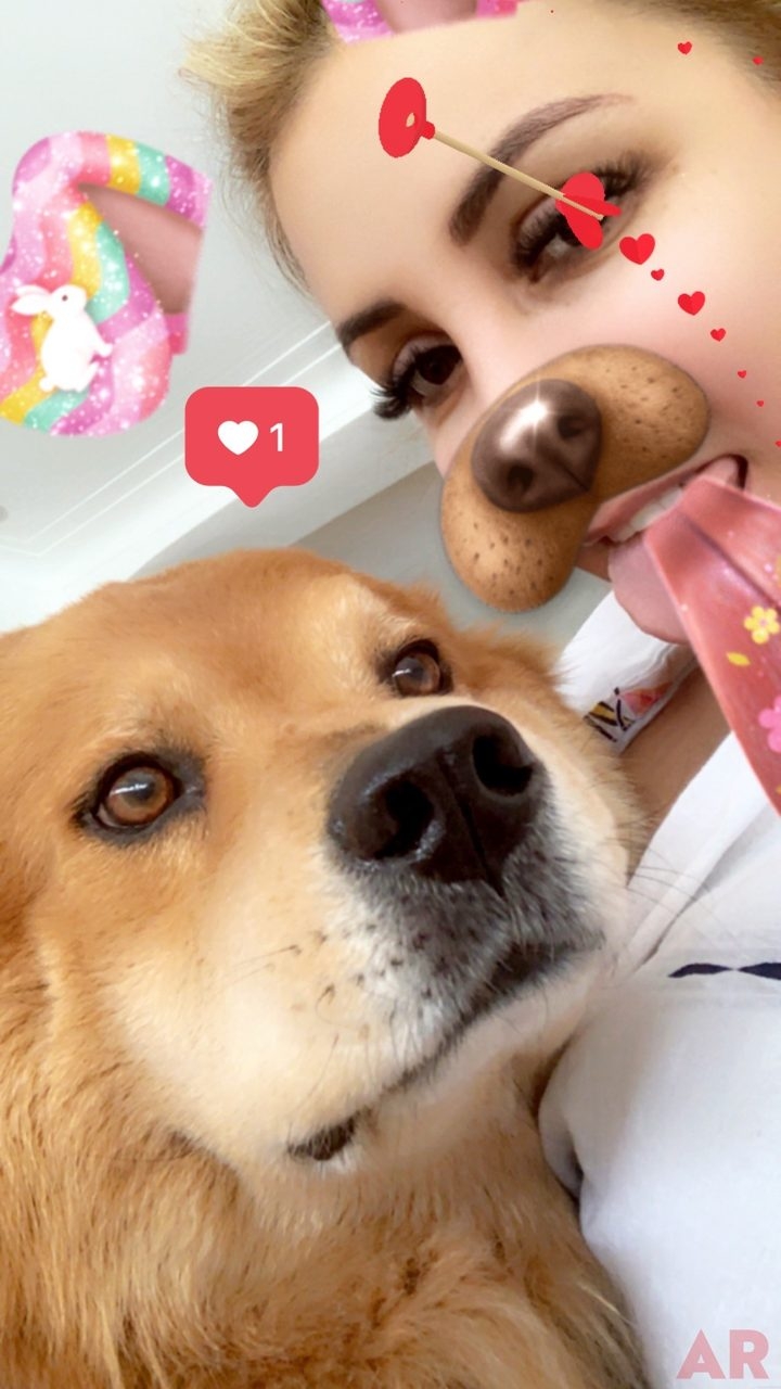 Zeus Love | Ale Ramos Therapy Animals