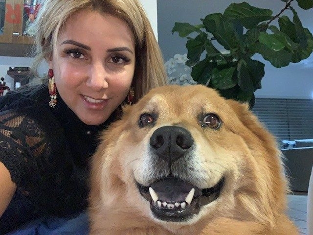 Zeus Love | Ale Ramos Therapy Animals