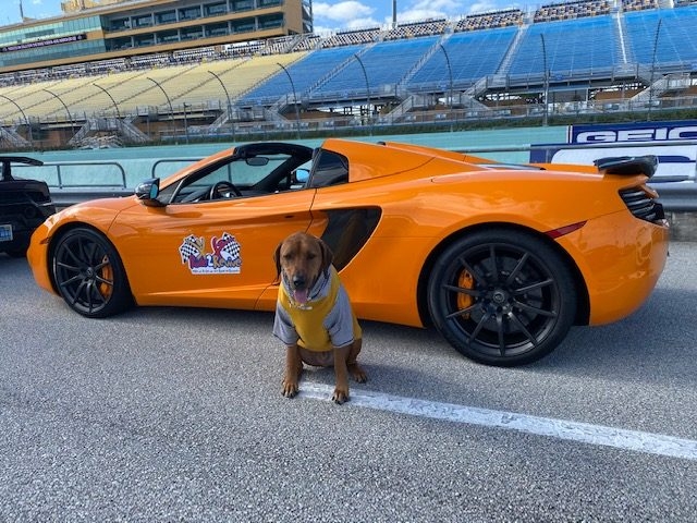 9th Annual Ridezrevive Track Event | Ale Ramos Therapy Animals