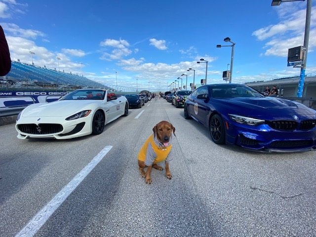 9th Annual Ridezrevive Track Event | Ale Ramos Therapy Animals