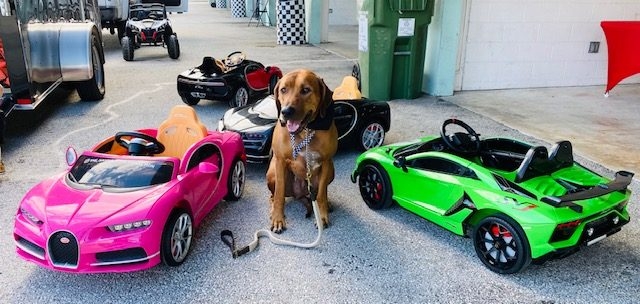9th Annual Ridezrevive Track Event | Ale Ramos Therapy Animals