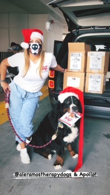 Apollo Love | Ale Ramos Therapy Animals