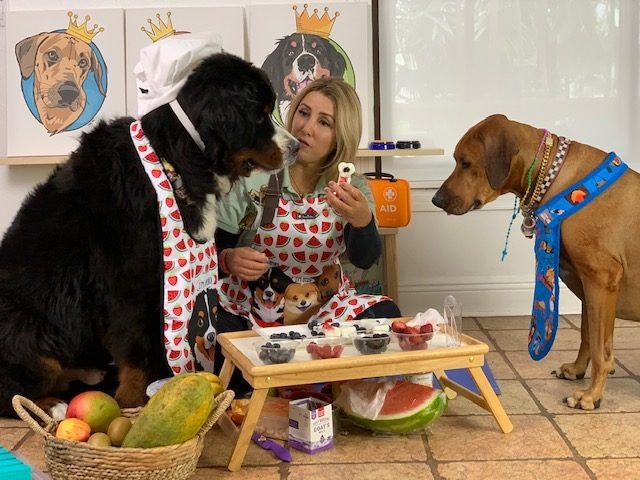 Apollo Love | Ale Ramos Therapy Animals