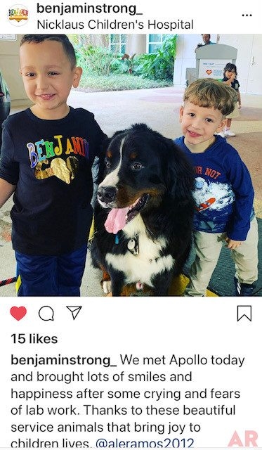 Apollo Love | Ale Ramos Therapy Animals