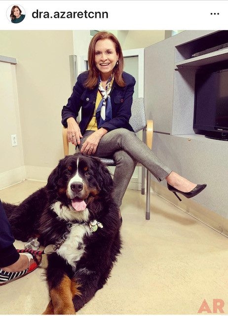 Apollo Love | Ale Ramos Therapy Animals