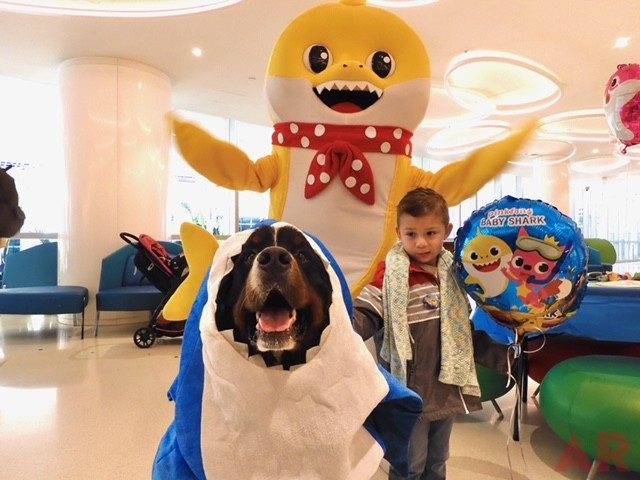 Baby Shark event at Nicklaus Children’s Hospital | Ale Ramos Therapy Animals