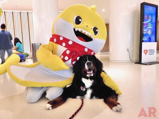 Baby Shark event at Nicklaus Children’s Hospital | Ale Ramos Therapy Animals