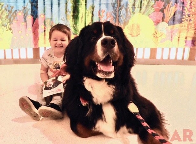 Baby Shark event at Nicklaus Children’s Hospital | Ale Ramos Therapy Animals