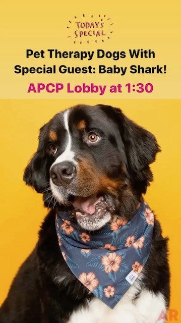 Baby Shark event at Nicklaus Children’s Hospital | Ale Ramos Therapy Animals