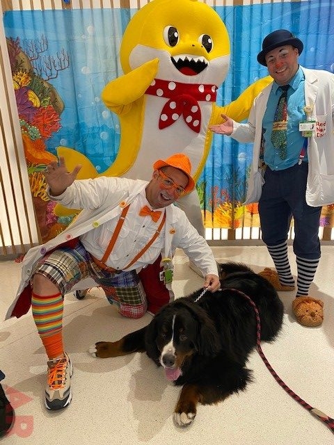 Baby Shark event at Nicklaus Children’s Hospital | Ale Ramos Therapy Animals