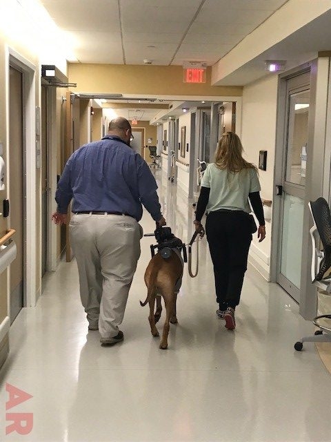 Day in the life of a Pet Therapy Dog! | Ale Ramos Therapy Animals