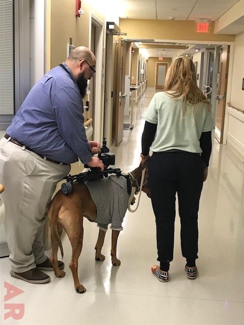 Day in the life of a Pet Therapy Dog! | Ale Ramos Therapy Animals