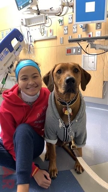 Day in the life of a Pet Therapy Dog! | Ale Ramos Therapy Animals