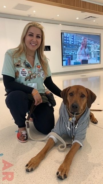 Day in the life of a Pet Therapy Dog! | Ale Ramos Therapy Animals