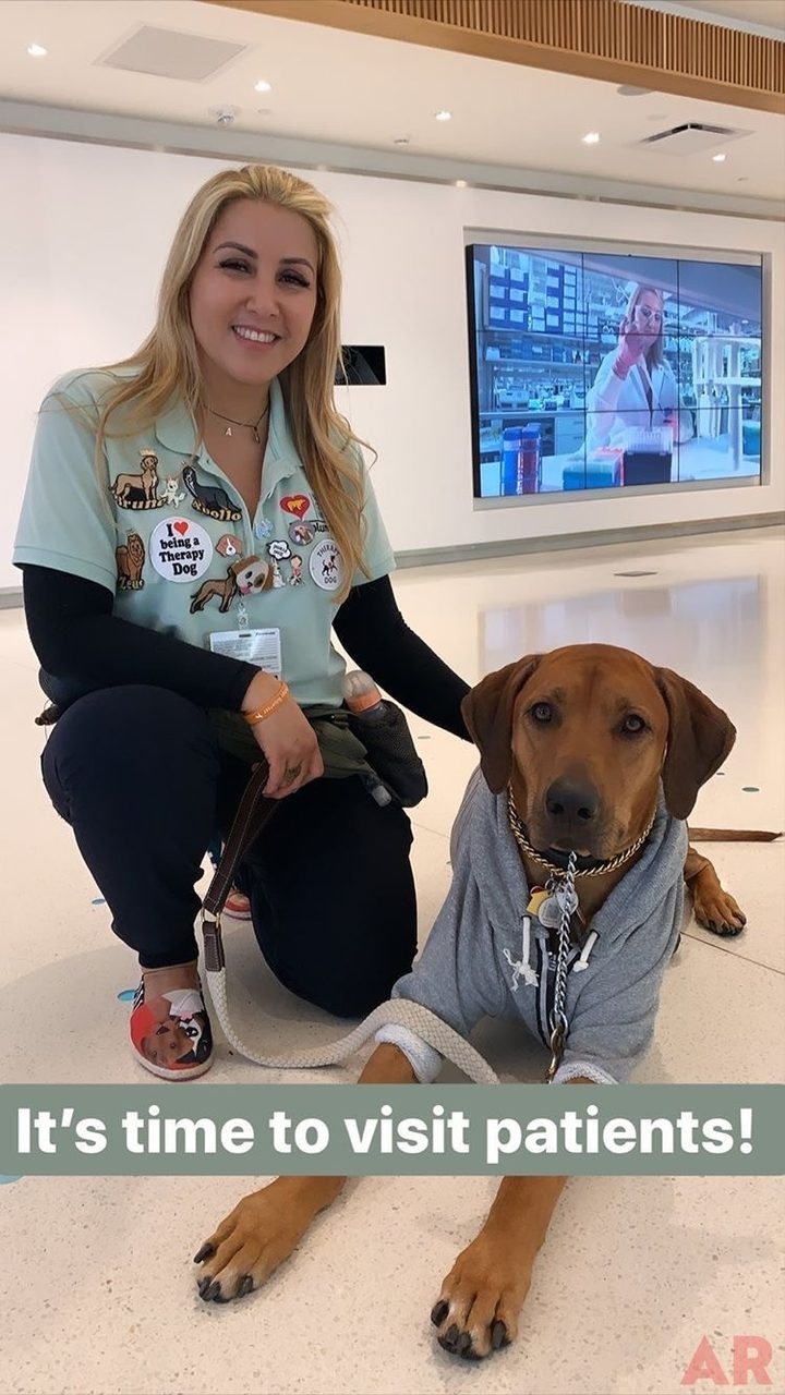 Day in the life of a Pet Therapy Dog! | Ale Ramos Therapy Animals
