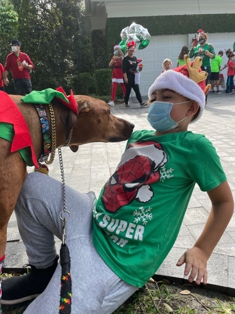 Genes Foundation event | Ale Ramos Therapy Animals