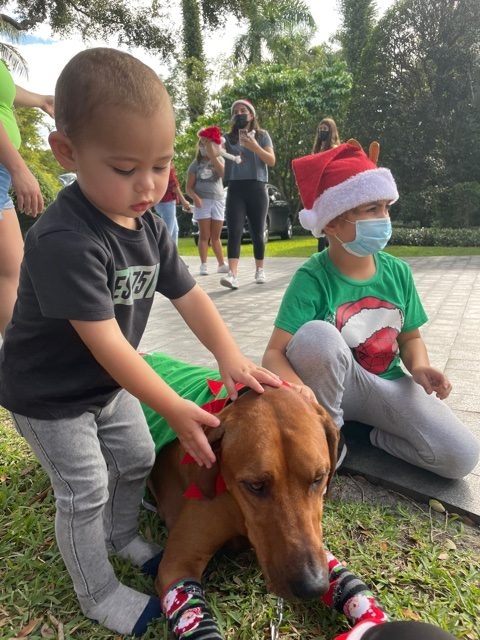 Genes Foundation event | Ale Ramos Therapy Animals